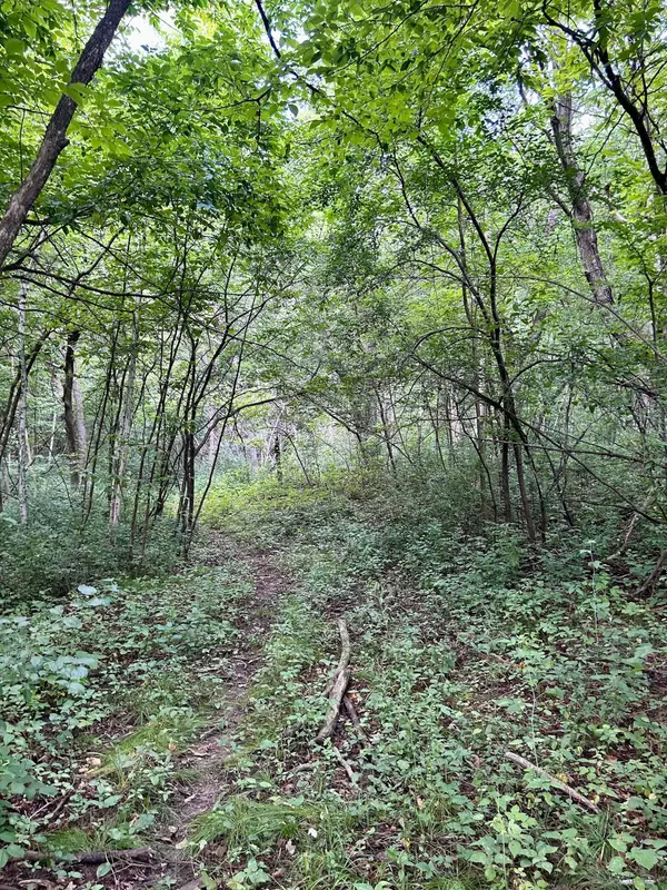 Amery, WI 54001,Lot 2 30th AVE