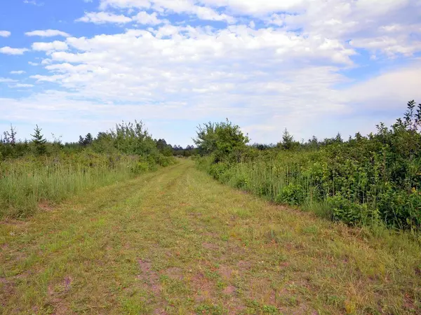 Menahga, MN 56464,ABC 110th ST