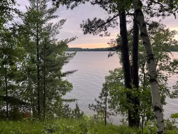 Nevis, MN 56467,20395 Fernbrook DR