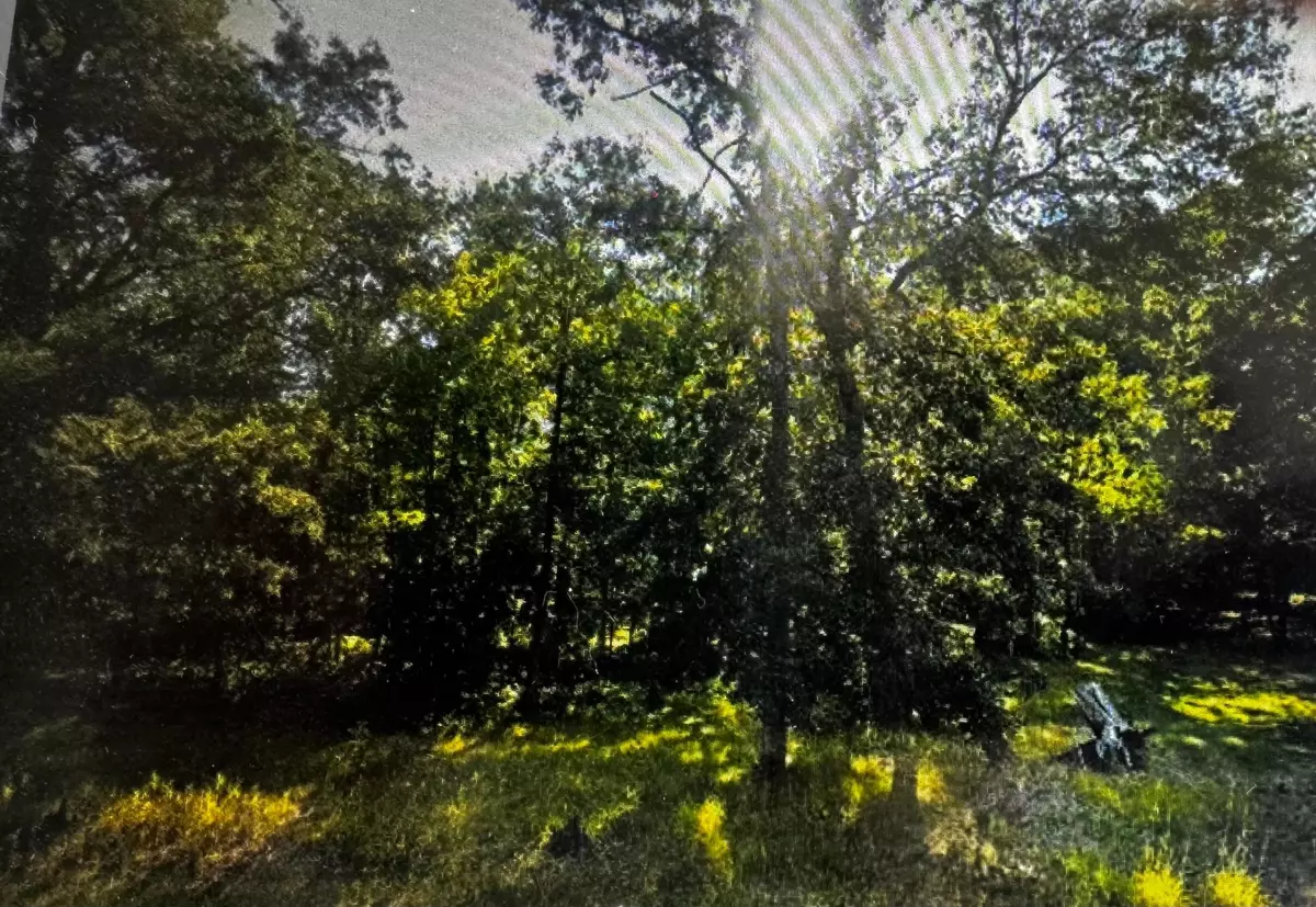 Barclay Twp, MN 56474,340 State 84 SW