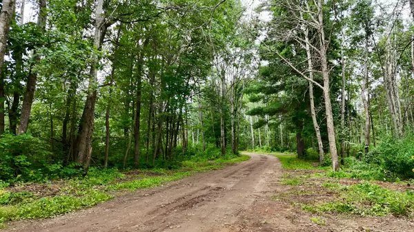 Oak Lawn Twp, MN 56401,15064 Loerch RD