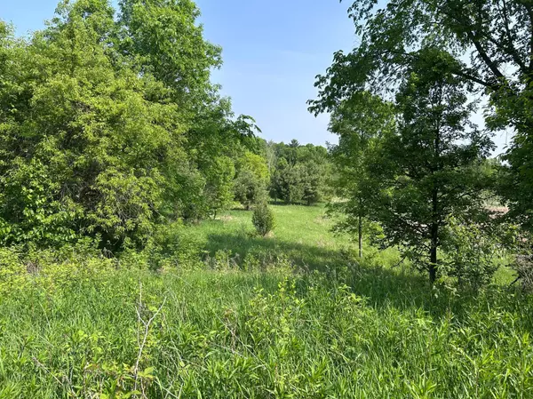 Frederic, WI 54840,XXX Agate RD