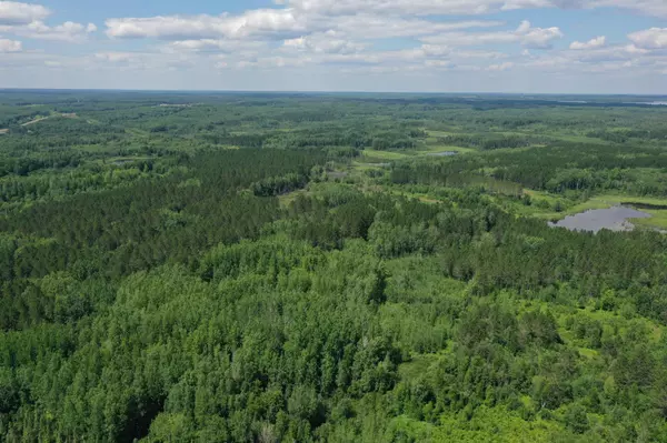 Cloquet, MN 55720,TBD (Option A) Maple Grove Rd.