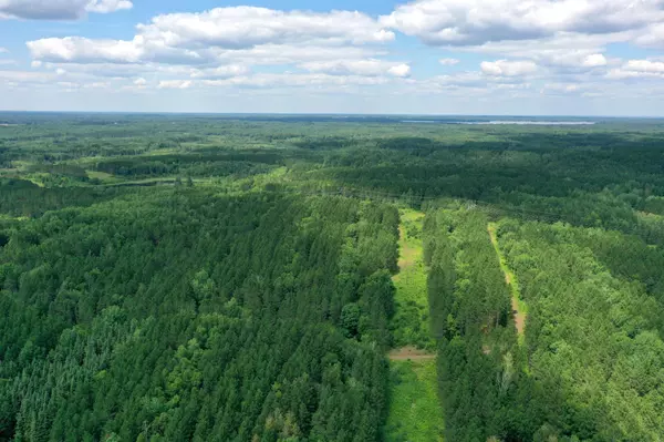 Cloquet, MN 55720,TBD (Option B) Maple Grove Rd.