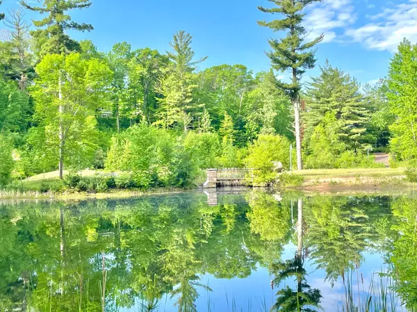 Brainerd, MN 56401,15880 Old Stonebridge TRL