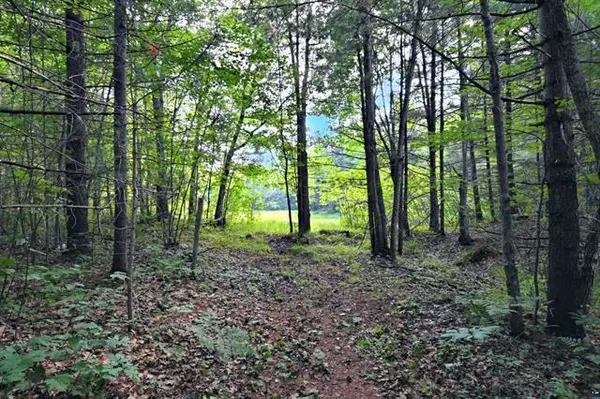 Lake Nebagamon, WI 54849,12207 E Railroad RD