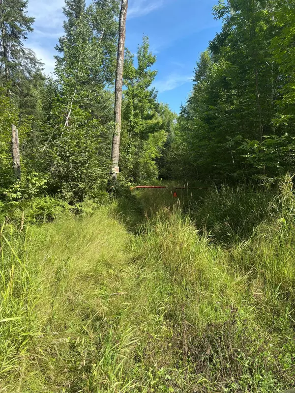 Sand Lake Twp, MN 56636,TBD Mushgee RD