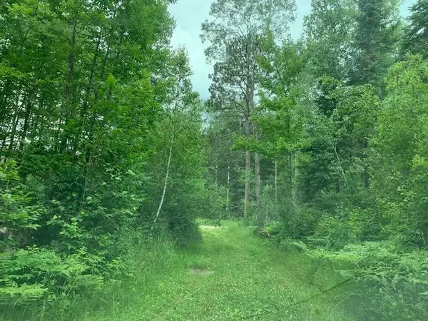 TBD Mushgee RD, Sand Lake Twp, MN 56636