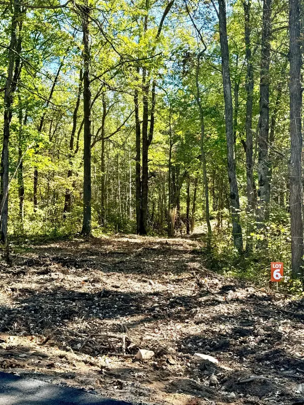 Fairview Twp, MN 56468,TBD6 Winter Creek CT