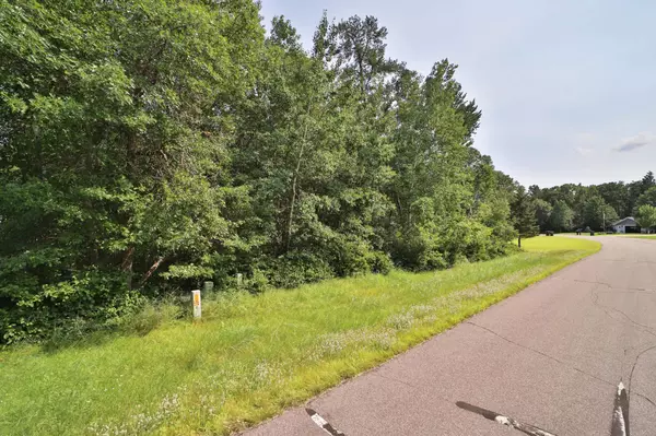 Baxter, MN 56425,TDB Paper Birch DR