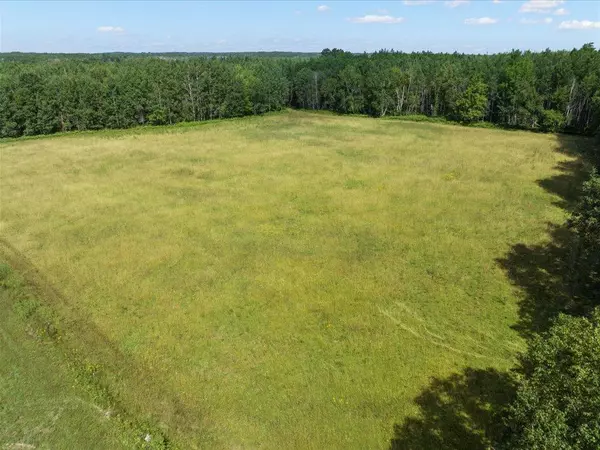 Bungo Twp, MN 56474,4233 56th AVE SW