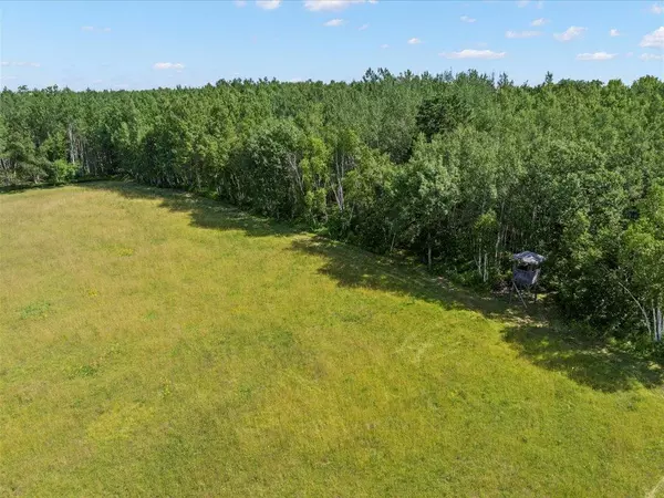 Bungo Twp, MN 56474,4233 56th AVE SW