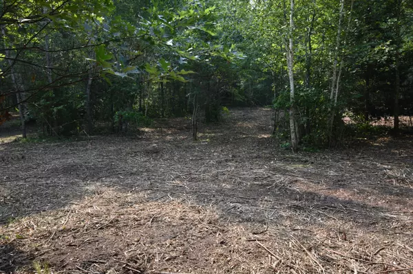Pine River Twp, MN 56474,TBD 30th