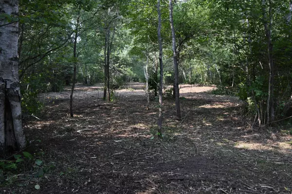 Pine River Twp, MN 56474,TBD 30th