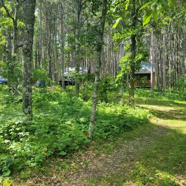 Hubbard Twp, MN 56470,14986 Big Stony DR