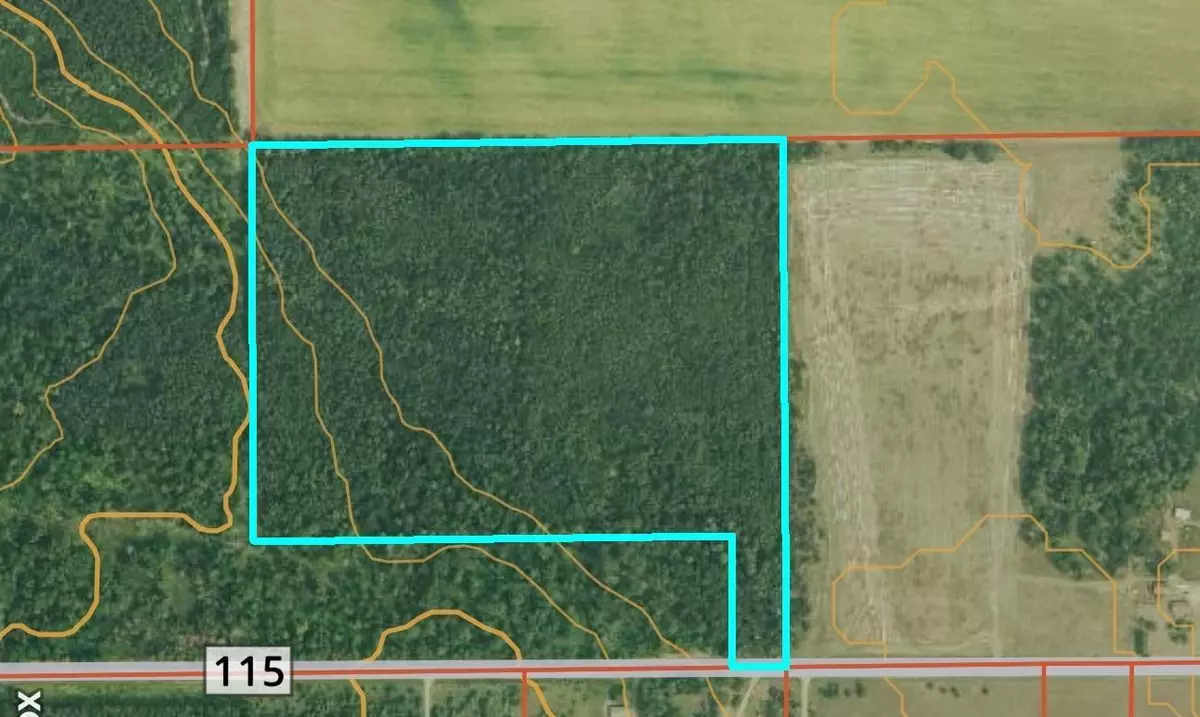 Pine River, MN 56474,TBD* C.R. #115