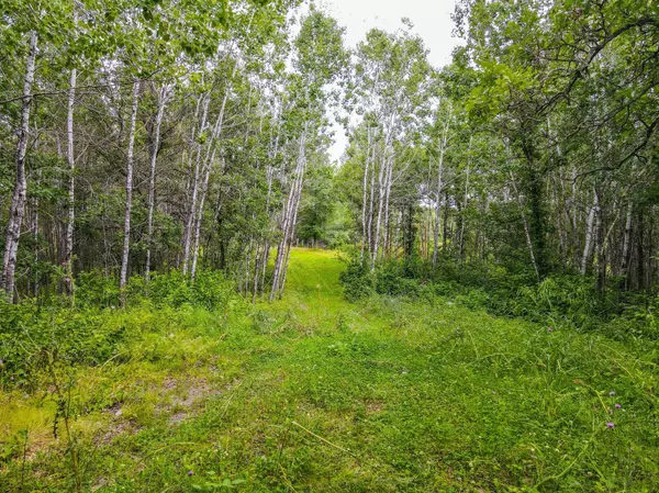 Park Rapids, MN 56470,Lot 4 Gasparilla Trail