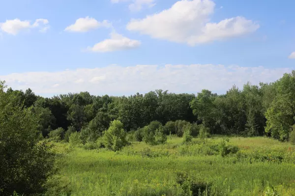 Sunrise Twp, MN 55056,39529 Trulson RD