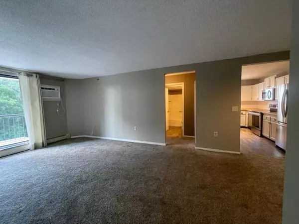 Richfield, MN 55423,6500 Woodlake DR #205