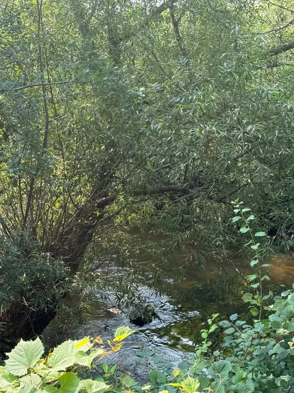 Sobieski, MN 56345,9391 Cable RD