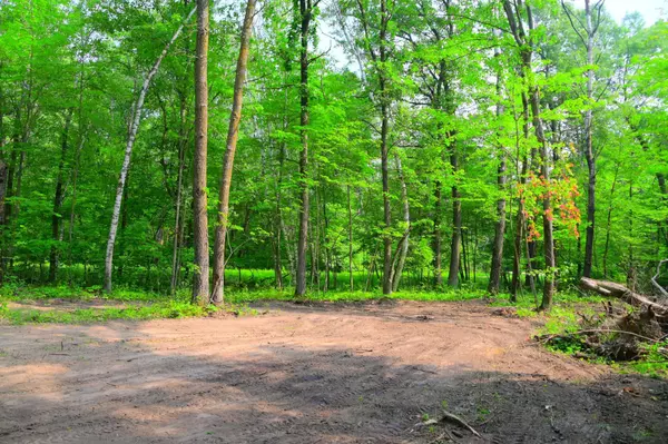 Browerville, MN 56438,Lot 27 Block 4 Ode Circle