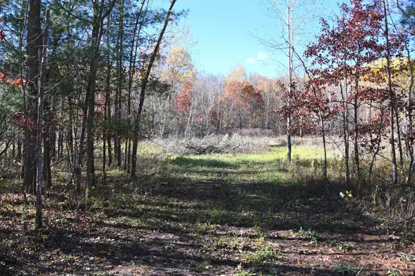 Moran Twp, MN 56438,27727 Oberon LOOP