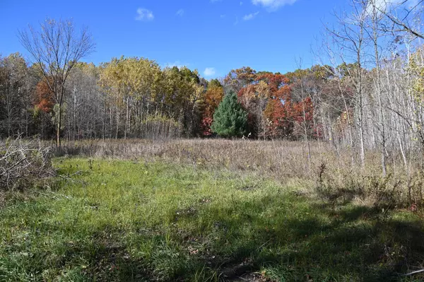 Moran Twp, MN 56438,27727 Oberon LOOP