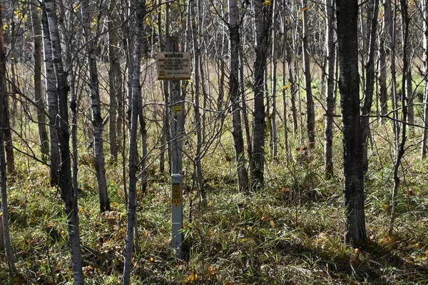 Moran Twp, MN 56438,27705 Oberon LOOP