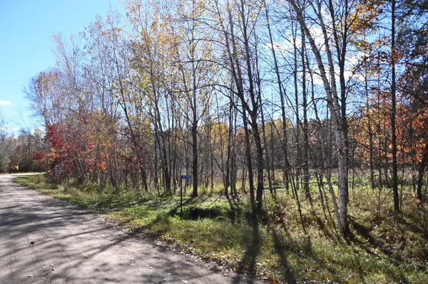 Moran Twp, MN 56438,27705 Oberon LOOP