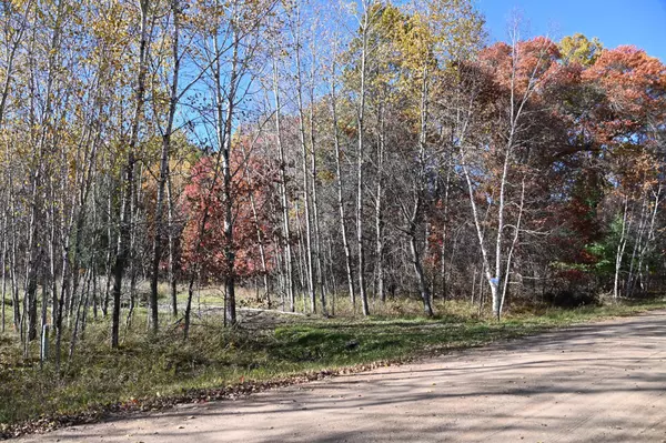 Moran Twp, MN 56438,27705 Oberon LOOP