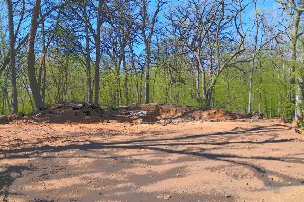 Fawn Lake Twp, MN 56438,3 Pine Island Pt DR