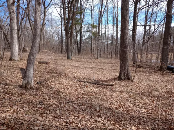Fawn Lake Twp, MN 56438,2 Pine Island Pt DR