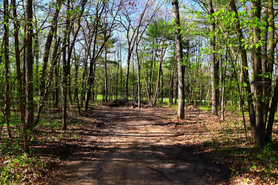 xxx Penelope LOOP, Fawn Lake Twp, MN 56438