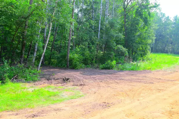 xxx Oriole Court, Moran Twp, MN 56438