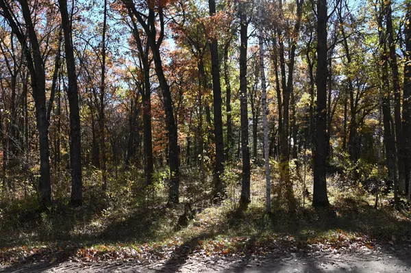 Moran Twp, MN 56438,38970 Odin CT