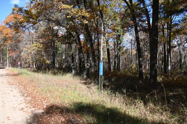 38970 Odin CT, Moran Twp, MN 56438