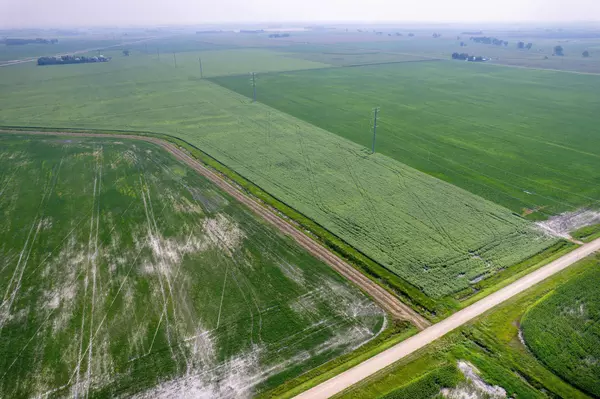 Barnesville, MN 56514,TBD 140th ST