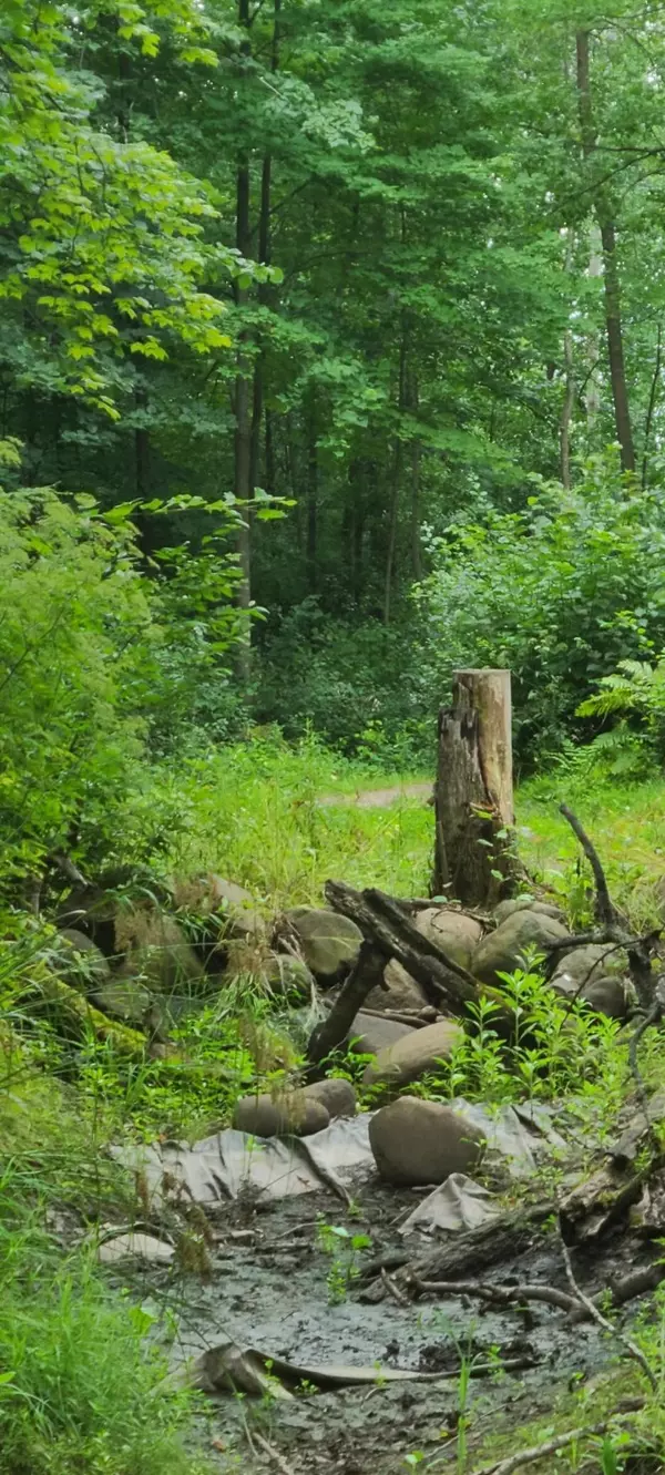 Pokegama Twp, MN 55063,TBD Everready RD