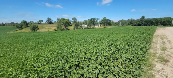 Detroit Lakes, MN 56501,TBD County Highway 15