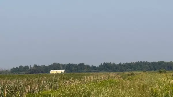 Kelliher, MN 56650,TBD5 Sunflower RD