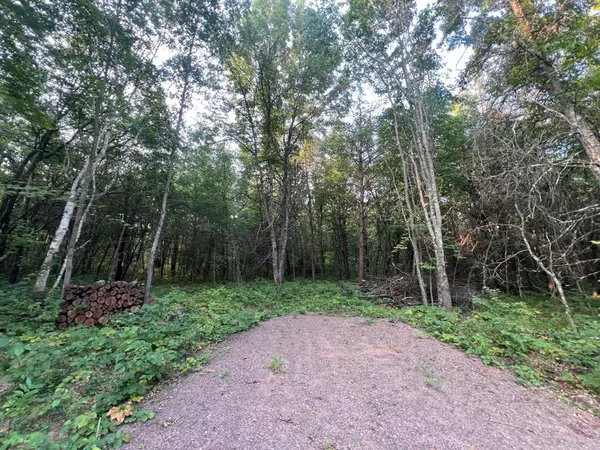 Lincoln Twp, WI 54893,TBD Ice House Bridge RD