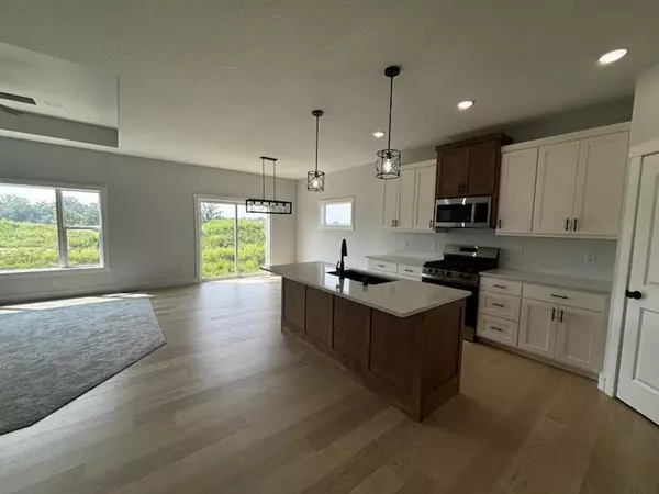 Buffalo, MN 55313,1876 Aster CT
