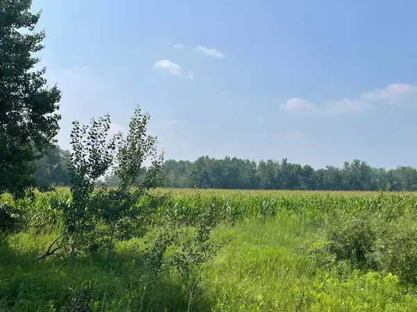 Princeton, MN 55371,TBD 17th ST