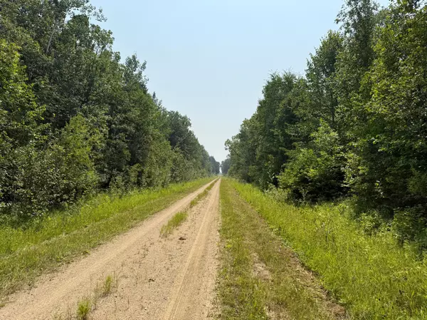 Woodrow Twp, MN 56650,TBD 12+ Acres Ponderosa RD NE