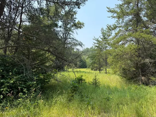 Woodrow Twp, MN 56650,TBD 12+ Acres Ponderosa RD NE