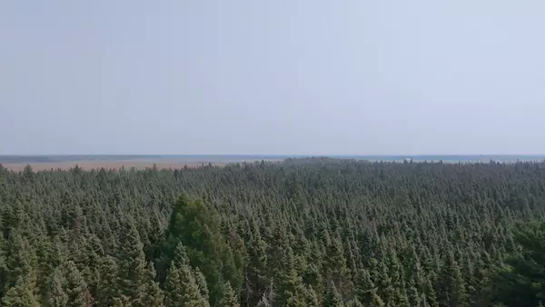 Woodrow Twp, MN 56650,TBD 80 Acres Sunflower RD NE