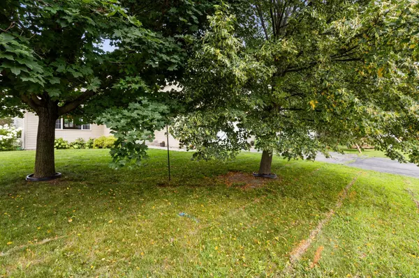 Buffalo, MN 55313,1607 Griffing Park RD