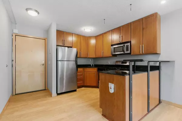 Minneapolis, MN 55404,2530 1st Ave S #101