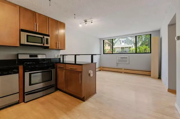 Minneapolis, MN 55404,2530 1st Ave S #101