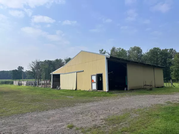 Borgholm Twp, MN 56353,8393 165th ST